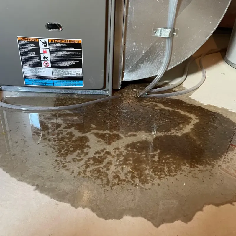 Appliance Leak Cleanup in Atherton, CA